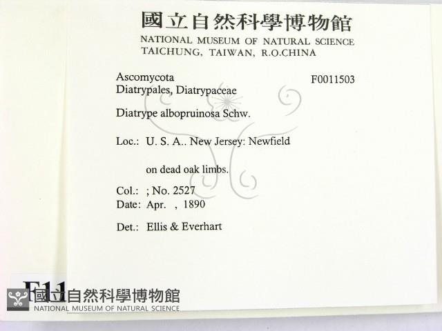 登錄號:F0011503藏品圖，第2張