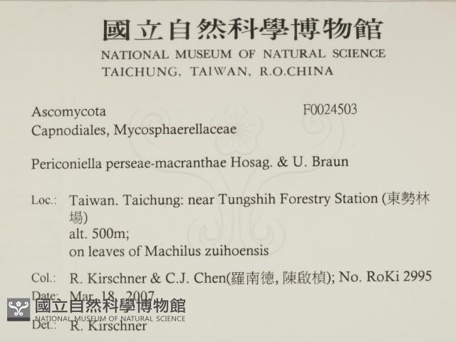 登錄號:F0024503藏品圖，第2張