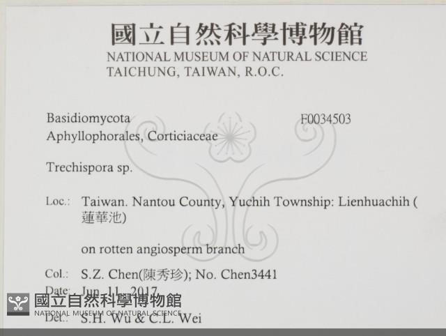 登錄號:F0034503藏品圖，第2張