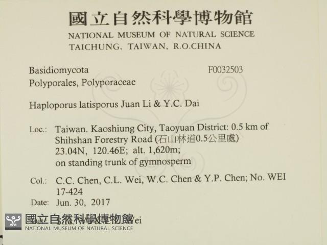 登錄號:F0032503藏品圖，第2張