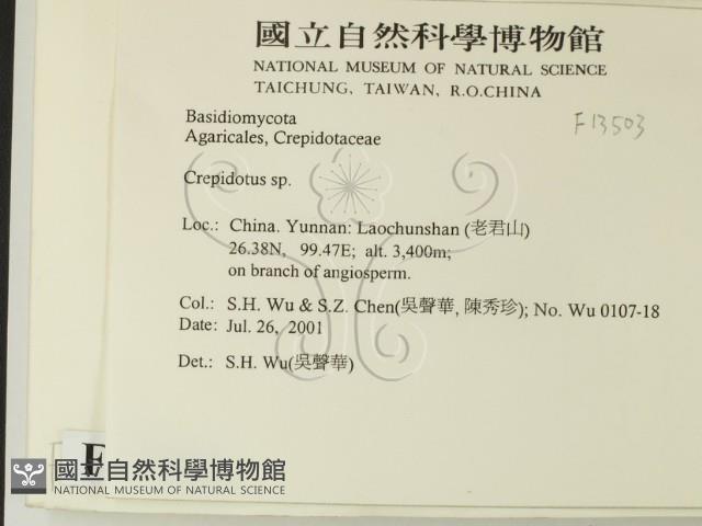 登錄號:F0013503藏品圖，第2張