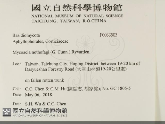 登錄號:F0033503藏品圖，第2張