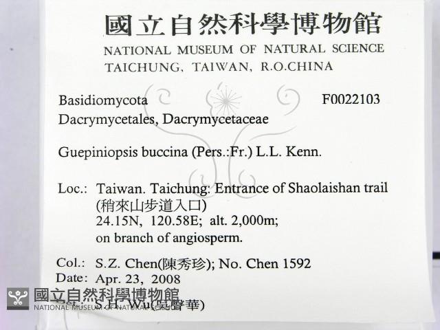 登錄號:F0022103藏品圖，第2張