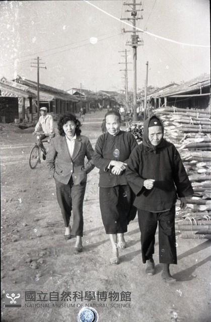 1950至2006年臺灣常民生活藏品圖，第1張