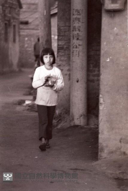 1950至2006年臺灣常民生活藏品圖，第1張