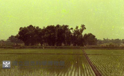 1950至2006年臺灣常民生活藏品圖，第1張