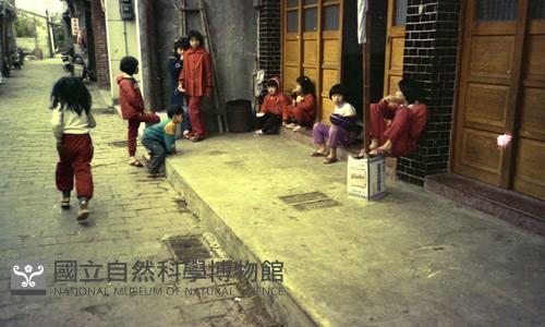 1950至2006年臺灣常民生活藏品圖，第1張