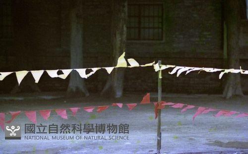 1950至2006年臺灣常民生活藏品圖，第1張