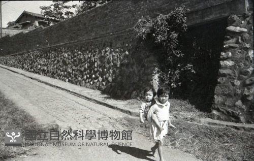 1950至2006年台灣常民生活藏品圖，第1張