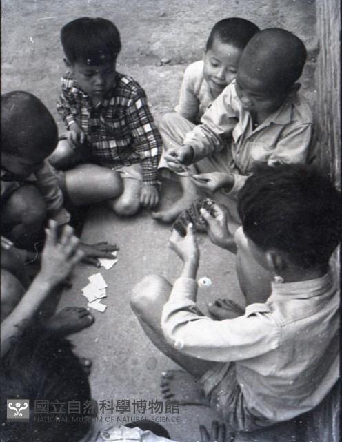 1950至2006年台灣常民生活藏品圖，第1張
