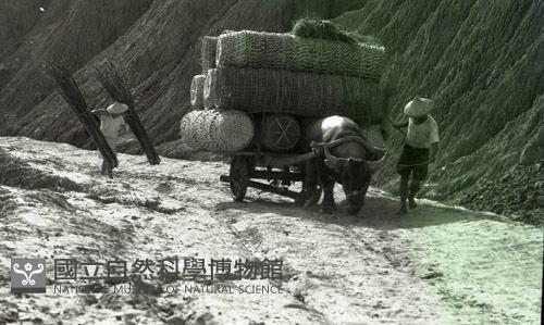 1950至2006年臺灣常民生活藏品圖，第1張