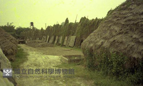 1950至2006年臺灣常民生活藏品圖，第1張