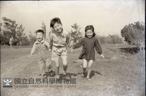 1950至2006年臺灣常民生活藏品圖，第1張