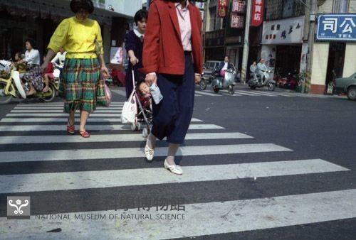 1950至2006年臺灣常民生活藏品圖，第1張