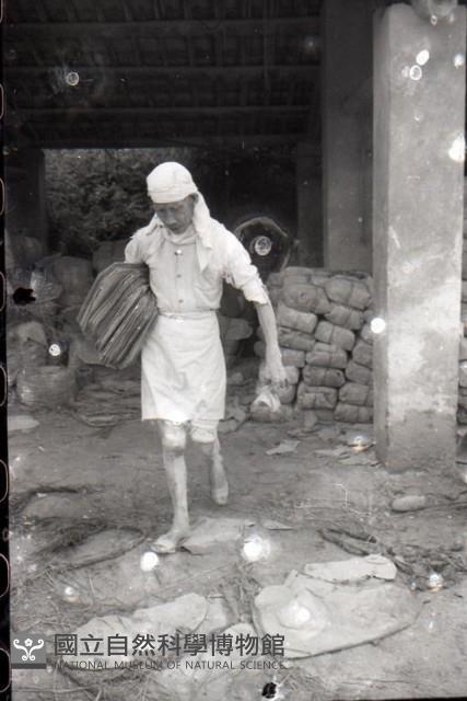 1950至2006年臺灣常民生活藏品圖，第1張