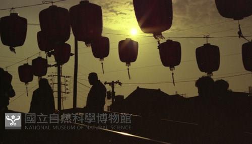 1950至2006年臺灣常民生活藏品圖，第1張