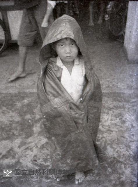 1950至2006年台灣常民生活藏品圖，第1張