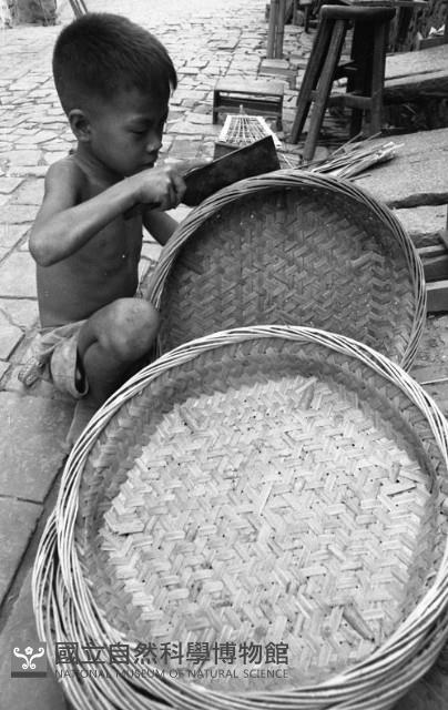 削整竹篾（1950至2006年臺灣常民生活）藏品圖，第1張