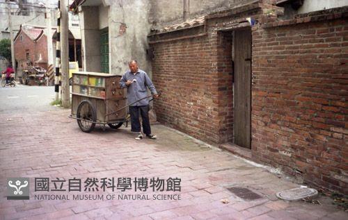 1950至2006年臺灣常民生活藏品圖，第1張