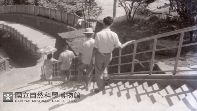 1950至2006年臺灣常民生活藏品圖，第1張