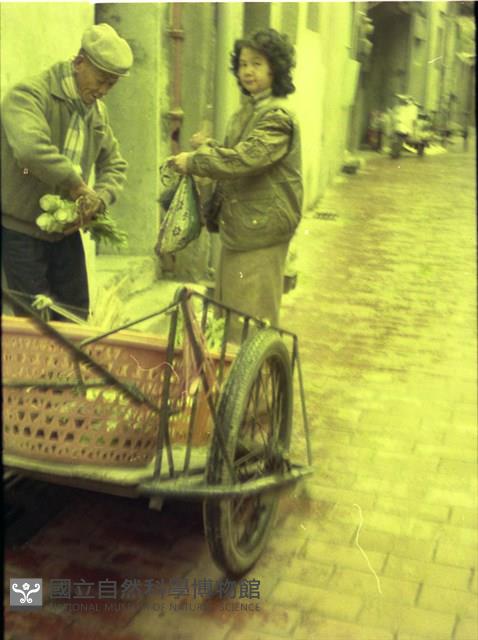 1950至2006年臺灣常民生活藏品圖，第1張