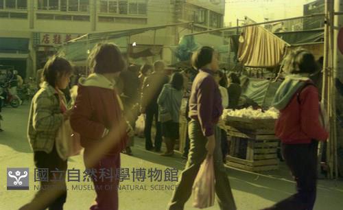 1950至2006年臺灣常民生活藏品圖，第1張