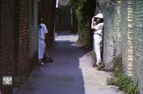 1950至2006年臺灣常民生活藏品圖，第1張
