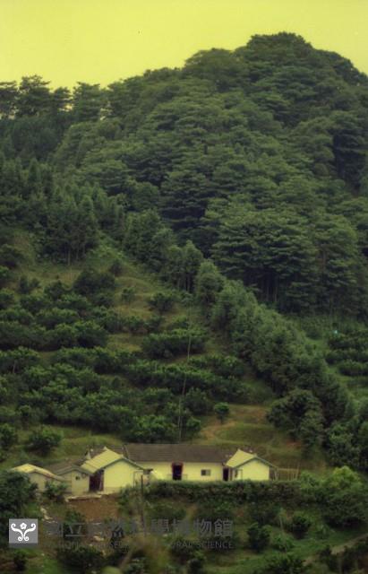 1950至2006年臺灣常民生活藏品圖，第1張