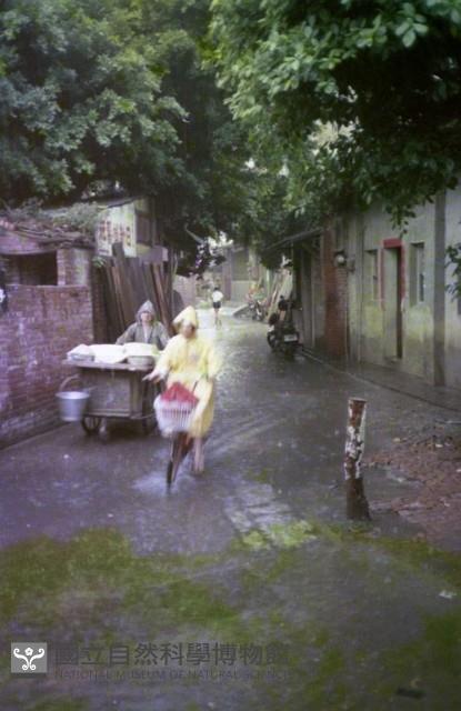 1950至2006年臺灣常民生活藏品圖，第1張