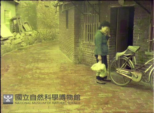 1950至2006年臺灣常民生活藏品圖，第1張