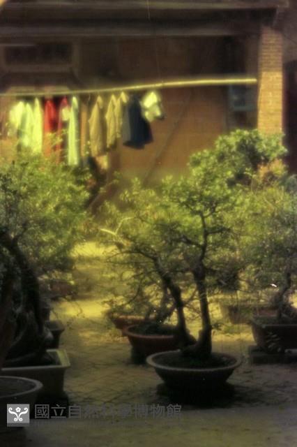 1950至2006年臺灣常民生活藏品圖，第1張