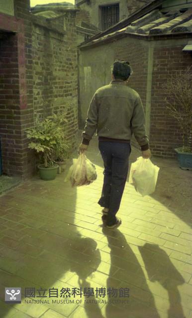 1950至2006年臺灣常民生活藏品圖，第1張