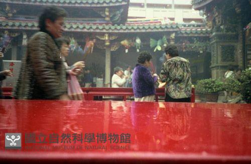 1950至2006年臺灣常民生活藏品圖，第1張