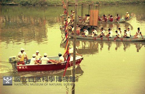 《划龍舟》（1950至2006年臺灣常民生活）藏品圖，第1張