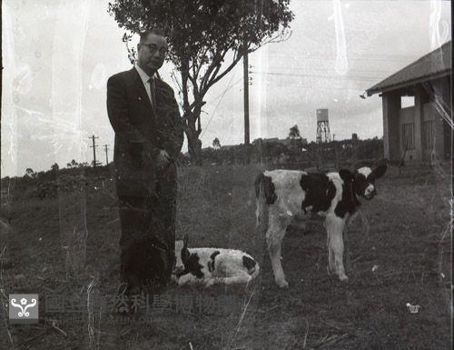 1950至2006年臺灣常民生活藏品圖，第1張