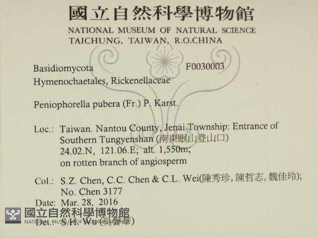 登錄號:F0030003藏品圖，第2張
