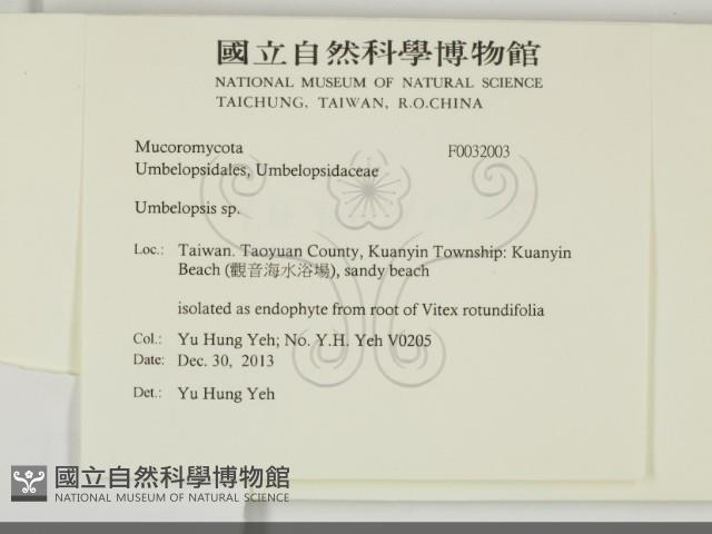 登錄號:F0032003藏品圖，第2張