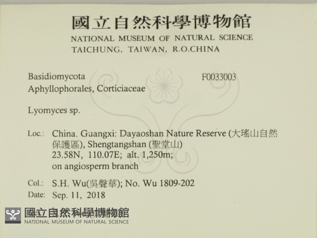登錄號:F0033003藏品圖，第2張