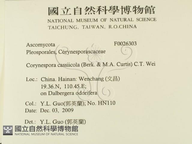 登錄號:F0026303藏品圖，第2張