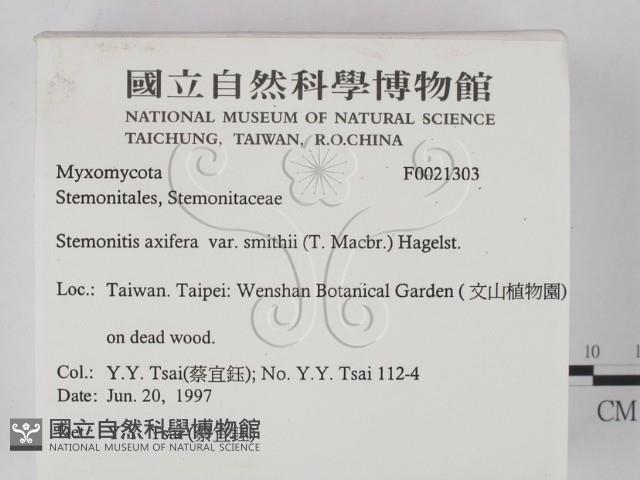 登錄號:F0021303藏品圖，第2張