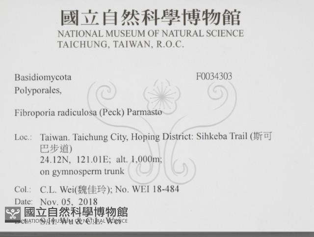 登錄號:F0034303藏品圖，第2張