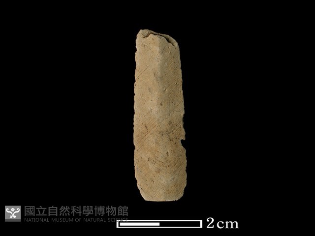 矛鏃形器藏品圖，第1張