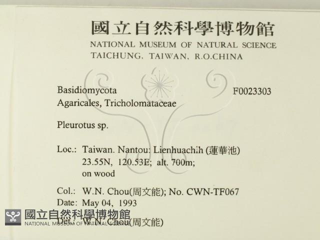 登錄號:F0023303藏品圖，第2張