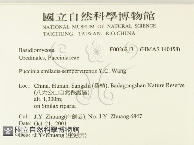 登錄號:F0026213藏品圖，第2張