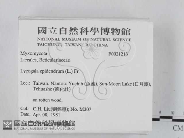 登錄號:F0021213藏品圖，第2張