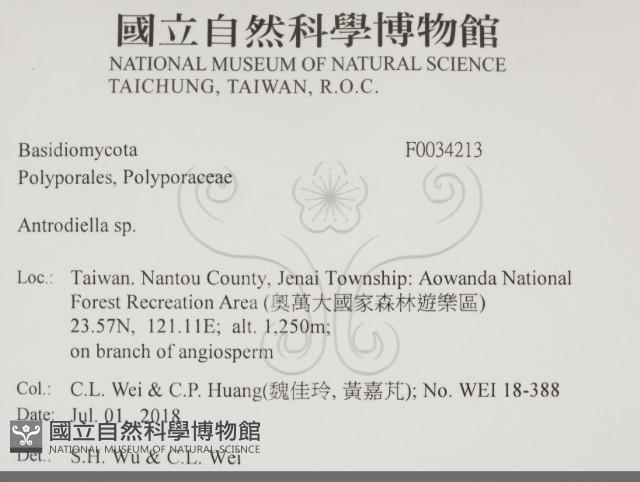 登錄號:F0034213藏品圖，第2張