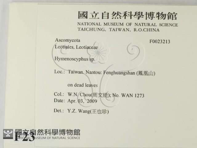 登錄號:F0023213藏品圖，第2張