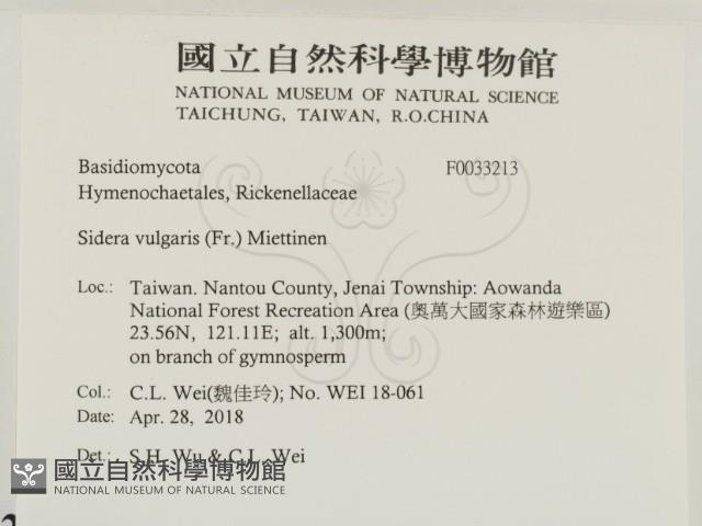 登錄號:F0033213藏品圖，第2張