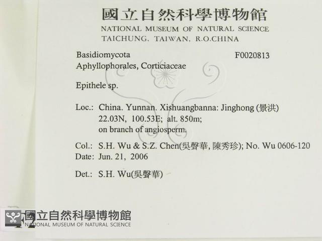 登錄號:F0020813藏品圖，第2張