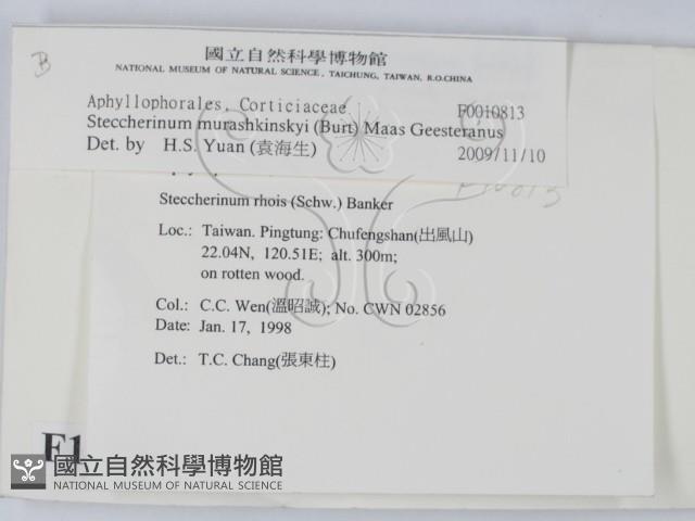 登錄號:F0010813藏品圖，第2張